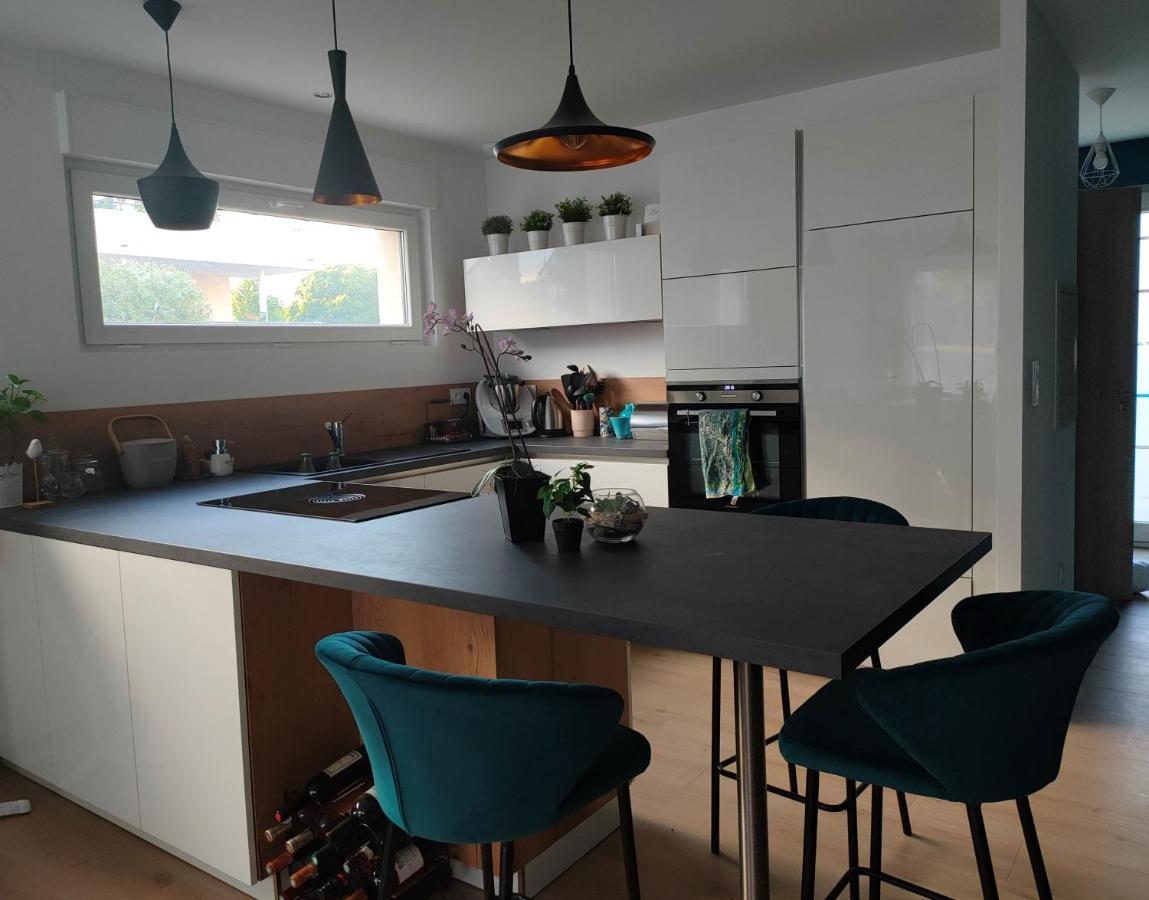 LA MAISON BLEUE, à 20 mn de Strasbourg, sur la route des vins, jusqu'à 6 personnes, Sélestat Exterior foto