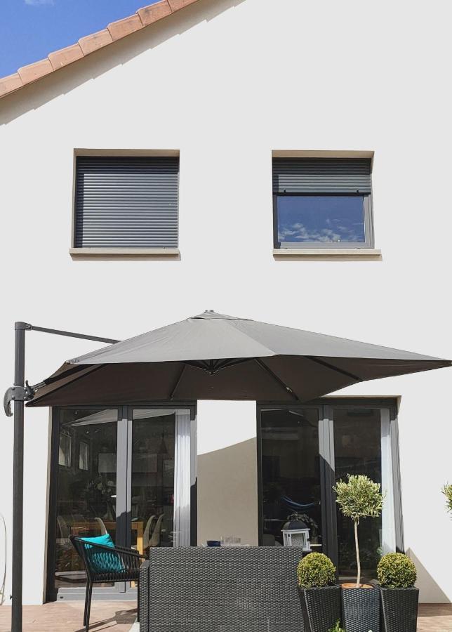 LA MAISON BLEUE, à 20 mn de Strasbourg, sur la route des vins, jusqu'à 6 personnes, Sélestat Exterior foto